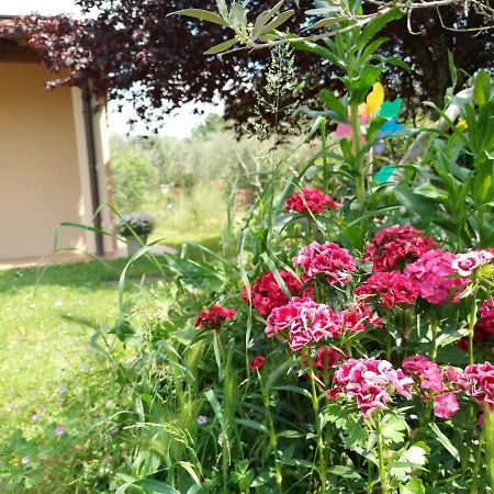Bnb A La Maison เรกเจลโล ภายนอก รูปภาพ