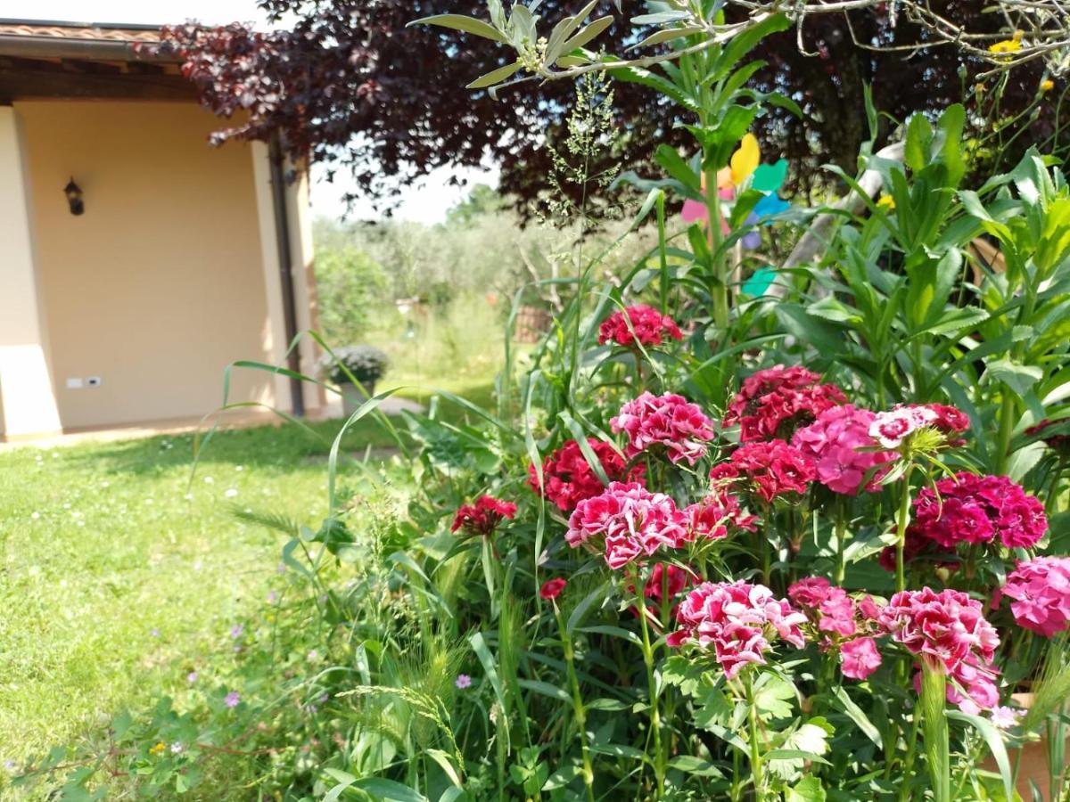 Bnb A La Maison เรกเจลโล ภายนอก รูปภาพ